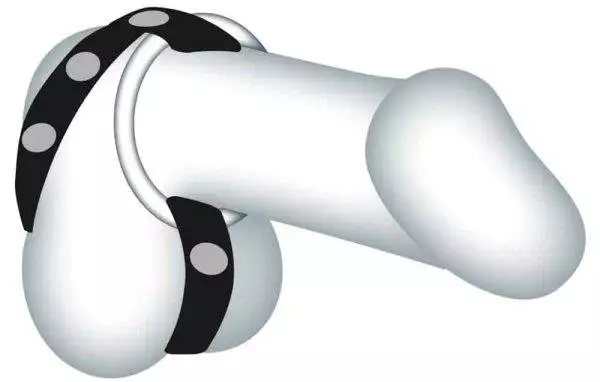 Sextreme Bad Kitty Cock/Ball Ring - Lederimitat mit 3 Penisringen Sextreme Bad Kitty Cock/Ball Ring - Lederimitat mit 3 Penisringen