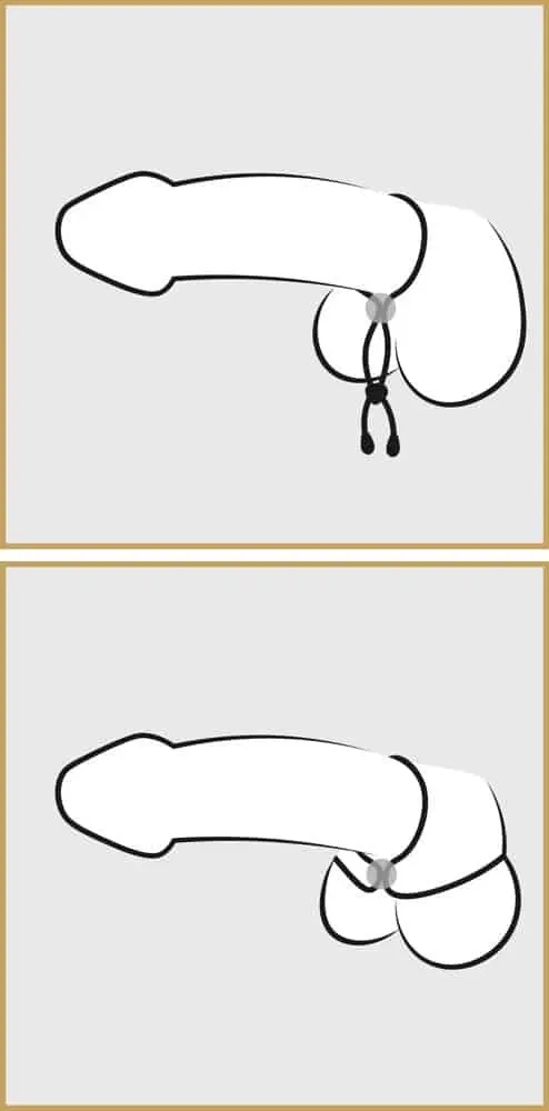 Bad Kitty - Praller Penisring mit Hodenstimulation