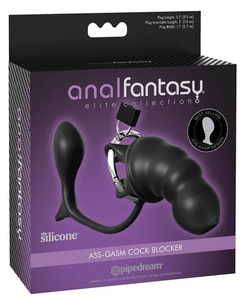 Anal Fantasy Elite - Keuschheitskäfig mit Analplug Schwarz/Silber