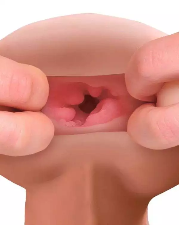 PDX Male Super-Masturbator mit Noppenstruktur und realistischen Hoden