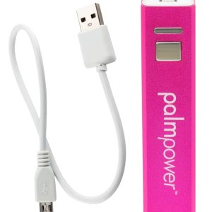 palmpower Massagestab Powerbank Grau/Pink