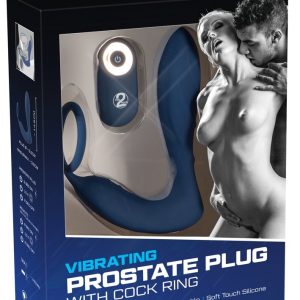 You2Toys - Prostata Plug mit 10 Vibrationsmodi