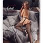 Cottelli LEGWEAR - Verführerische Strapsgurt-Strumpfhose S/M – Verpackung
