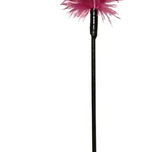 Fetish Collection - Kitzel-Feder, pink unisize – A
