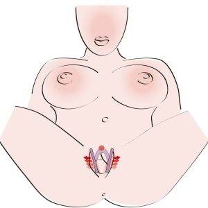 You2Toys Intimate Spreader - Flexibel & Hautfreundlich You2Toys Intimate Spreader - Flexibel & Hautfreundlich – D