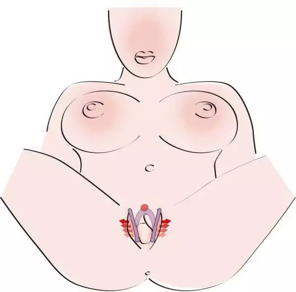 You2Toys Intimate Spreader - Flexibel & Hautfreundlich You2Toys Intimate Spreader - Flexibel & Hautfreundlich – D