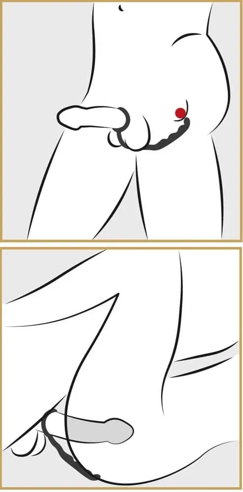 You2Toys - Prostatastimulator mit Penisring You2Toys - Prostatastimulator mit Penisring – C