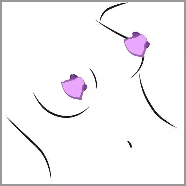 Fantasy For Her - Vibrierende Nippelsauger Fantasy For Her - Vibrierende Nippelsauger