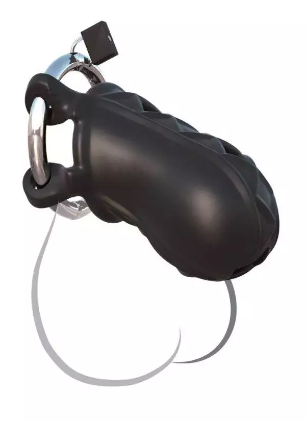 Fantasy C-Ringz - Keuschheitskäfig mit Metall-Schloss und Schlüsseln Schwarz/Silber