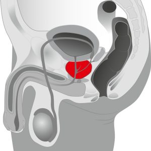You2Toys Prostata-Rotator: P-Punkt Stimulation, 5 Rotationsmodi