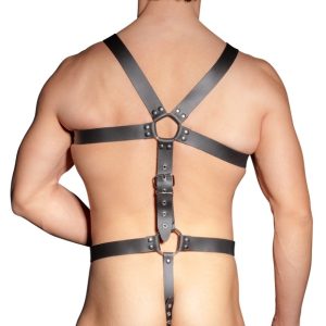 ZADO Leder Harness - Individuell verstellbar, hochwertige Qualität S-L