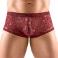 Svenjoyment Transparente Spitzen-Pants, dunkelrot, floral – A