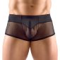 Svenjoyment Herren Pants in Schwarz, Größe L, mit transparentem Netzstoff – A