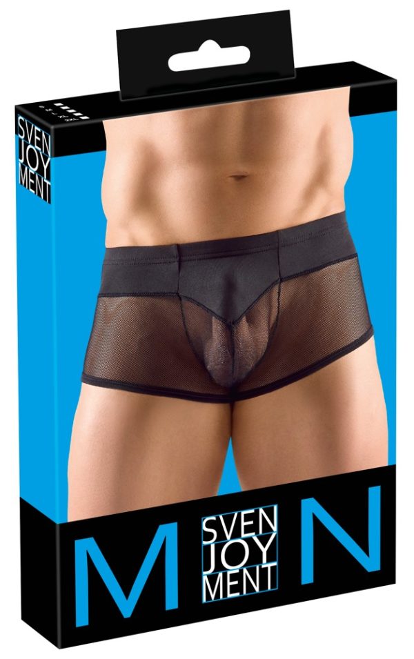 Svenjoyment Herren Pants in Schwarz, Größe L, mit transparentem Netzstoff