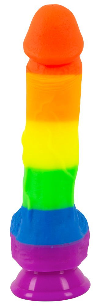 You2Toys Silicone PRIDE! Regenbogen Dildo - 21 cm