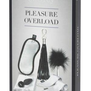 Fifty Shades of Grey 10-Tage-Überraschungskalender, Pleasure Overload 10 Days of Play – Verpackung