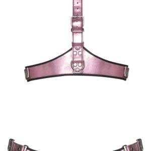 Bad Kitty Glossy-Rosé Harness-Set in Metallic-Optik Bad Kitty Rosé-Metallic Harness-Set, Größe verstellbar, Farbe: Rosé – Hollow B