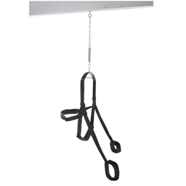 Fetish Fantasy Series Sexschaukel Black Fantasy Swing mit gepolsterten Gurten