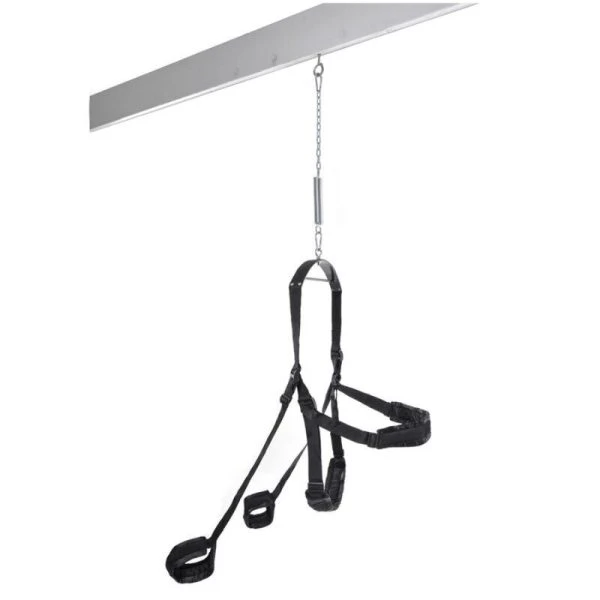 Fetish Fantasy Series Sexschaukel Black Fantasy Swing mit gepolsterten Gurten