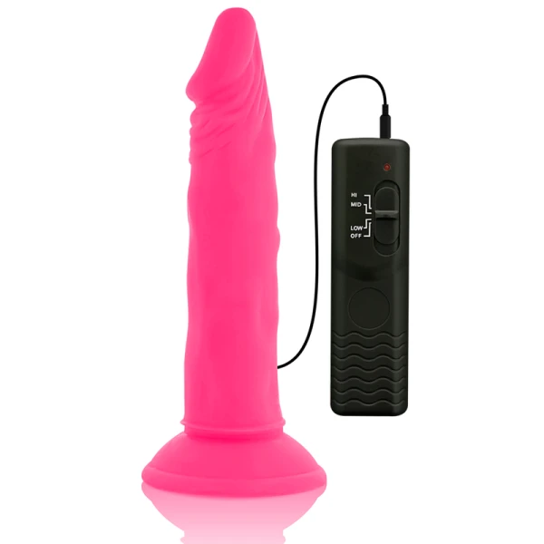 Diversia Flexibele Dildo met Trilling en Afstandsbediening 21 cm roze Diversia Flexibele Dildo met Trilling en Afstandsbediening 21 cm roze