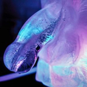 Play WIV ME XXXL-Penis-Eisform für Partygags Play WIV ME XXXL-Penis-Eisform für Partygags – Bild 6