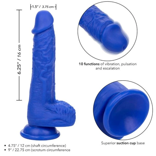 Calexotics Admiral Sailor Realistische Silicone Dildo Vibrator Blauw 19,75 cm