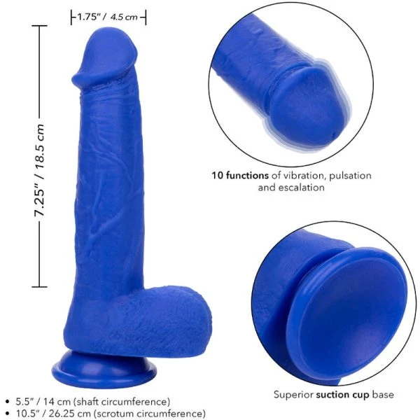 Calexotics Realistische Siliconen Dildo Vibrator Admiraal Kapitein Blauw