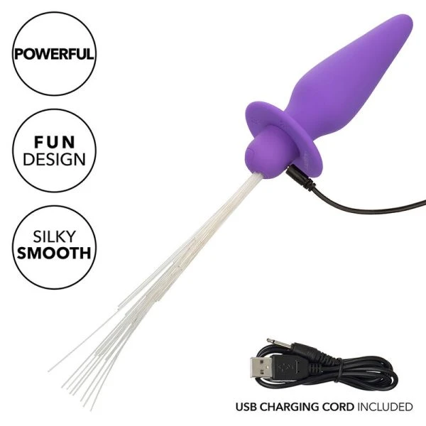 Calexotics Southern Lights lichtgevende anaalplug met vibratie, Paars