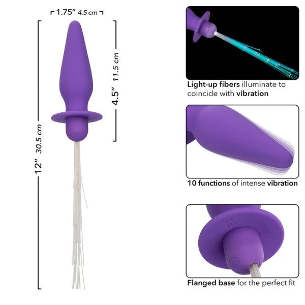 Calexotics Southern Lights lichtgevende anaalplug met vibratie, Paars