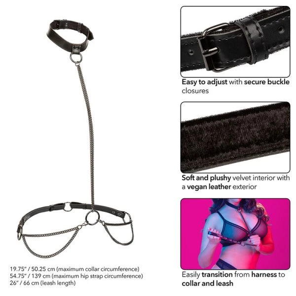 Calexotics Euphoria Kettenhalfterhalsband und Leine Übergröße