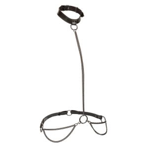 Calexotics Euphoria Kettenhalfterhalsband und Leine Übergröße Calexotics Euphoria Kettenhalfterhalsband und Leine Übergröße – Bild 2