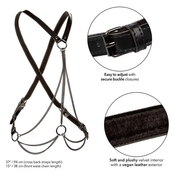 Calexotics Euphoria Multichain Harness Premium Bondage-Harnas