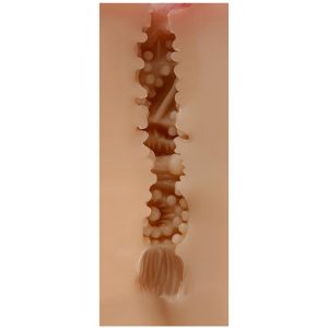 Shequ Maud Vagina-Masturbator ohne Vibration Shequ Maud Vagina-Masturbator ohne Vibration – Bild 4
