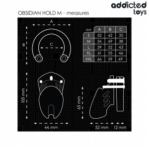Addicted Toys Locked Peniskäfig Obsidian Hold Größe M mit 5 Ringen Addicted Toys Locked Peniskäfig Obsidian Hold Größe M mit 5 Ringen – Bild 4