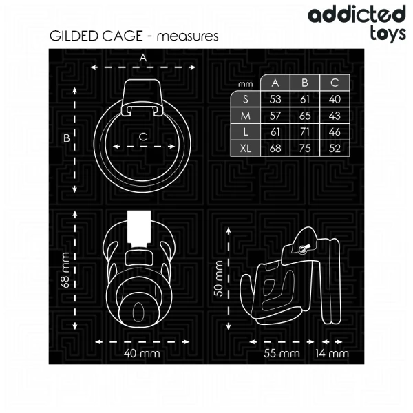 Addicted Toys Keuschheitskäfig aus Metall Locked Gilden Cage