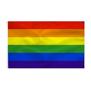 Pride Regenboogvlag 90 x 150 cm voor LGBTQ+ vieringen Pride Regenboogvlag 90 x 150 cm voor LGBTQ+ vieringen - Afbeelding 1