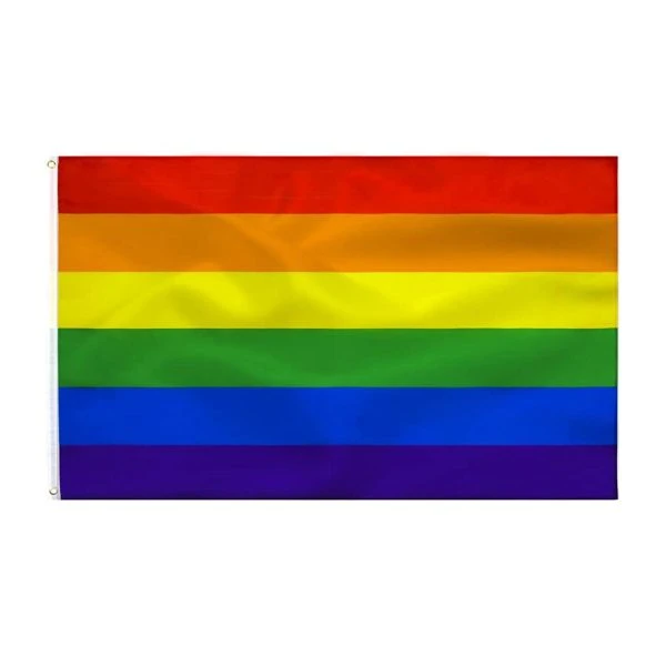 Pride Regenboogvlag 90 x 150 cm voor LGBTQ+ vieringen