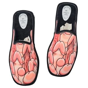 Diablo Picante Penis-Huisschoenen Maat 39-41 meerkleurig