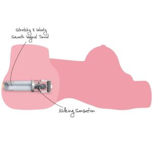 Hidden Desire Masturbator-Torso Horny Milking Bitch met melkfunctie Hidden Desire Masturbator-Torso Horny Milking Bitch met melkfunctie - Afbeelding 6