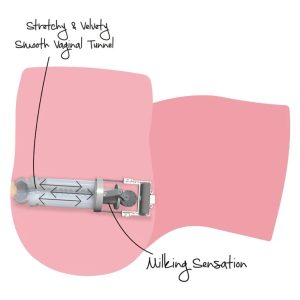Hidden Desire Masturbator-Torso Big Ass Milking Bitch met Vibratie Hidden Desire Masturbator-Torso Big Ass Milking Bitch met Vibratie - Afbeelding 7