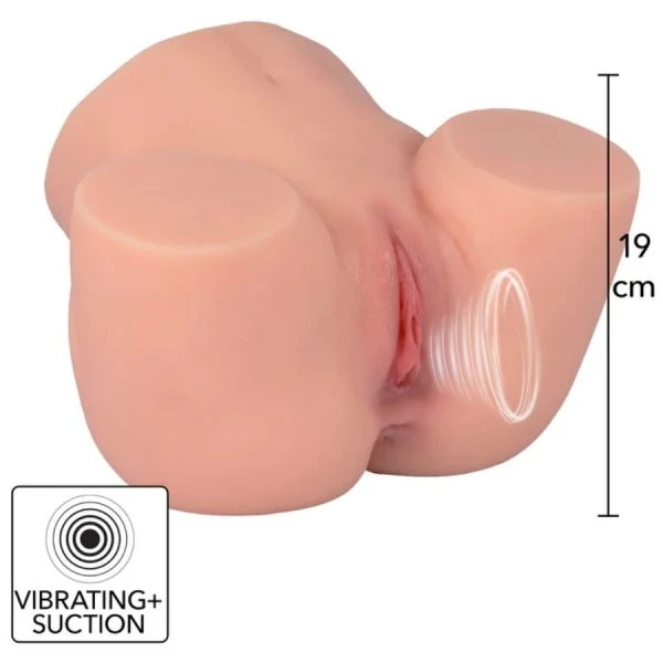 Hidden Desire Masturbator Torso met zuig- en vibratiefunctie Hidden Desire Masturbator Torso met zuig- en vibratiefunctie