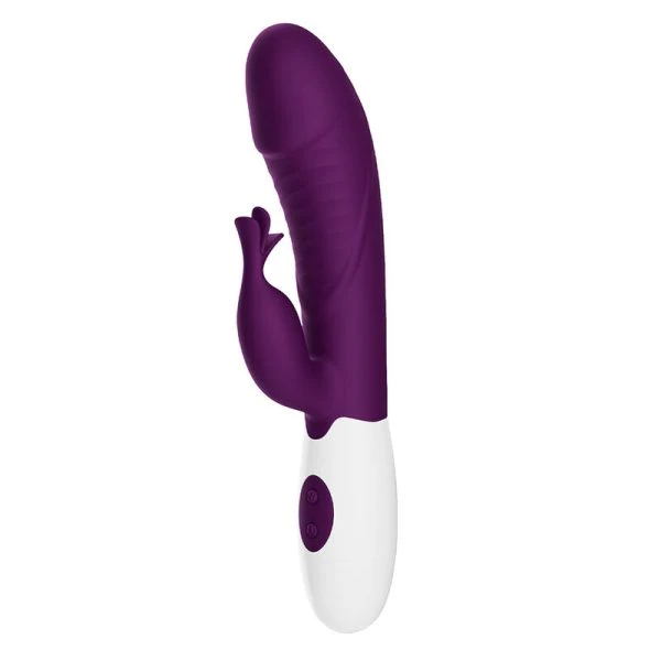 High Tech Pretty Love Rogue Muse Hasenvibrator met 30 functies, Paars