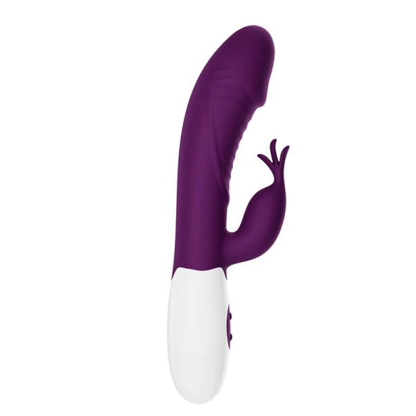 High Tech Pretty Love Rogue Muse Hasenvibrator met 30 functies, Paars