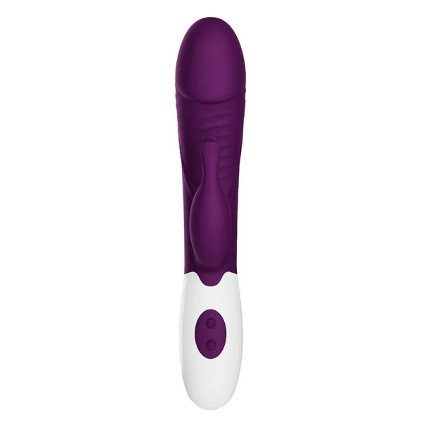 High Tech Pretty Love Rogue Muse Hasenvibrator met 30 functies, Paars