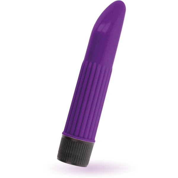 Intense FUN Toys Sonny Lila Vibrator 13,5 cm