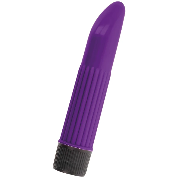 Intense FUN Toys Sonny Lila Vibrator 13,5 cm