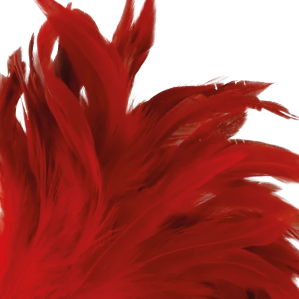 Darkness Sensations Stimulerende Verenkietelaar rood