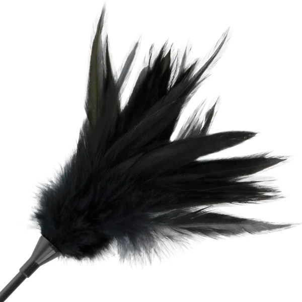 Darkness Sensations schwarze Federpeitsche mit Reitgerte, 48 cm