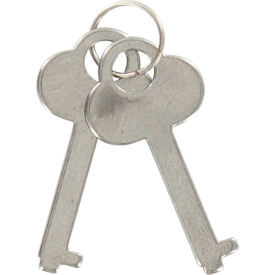 Toyjoy Metalen Manchetten met Keten voor Polsen
