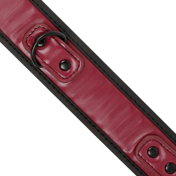 Fetish Submissive Kettinghalsband met Neopreenvoering voor BDSM Fetish Submissive Kettinghalsband met Neopreenvoering voor BDSM